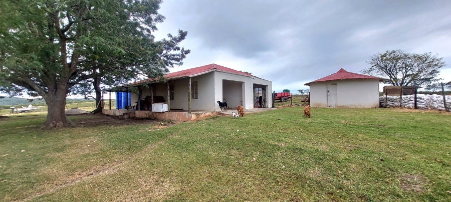 3 Bedroom Property for Sale in Komga Rural Eastern Cape